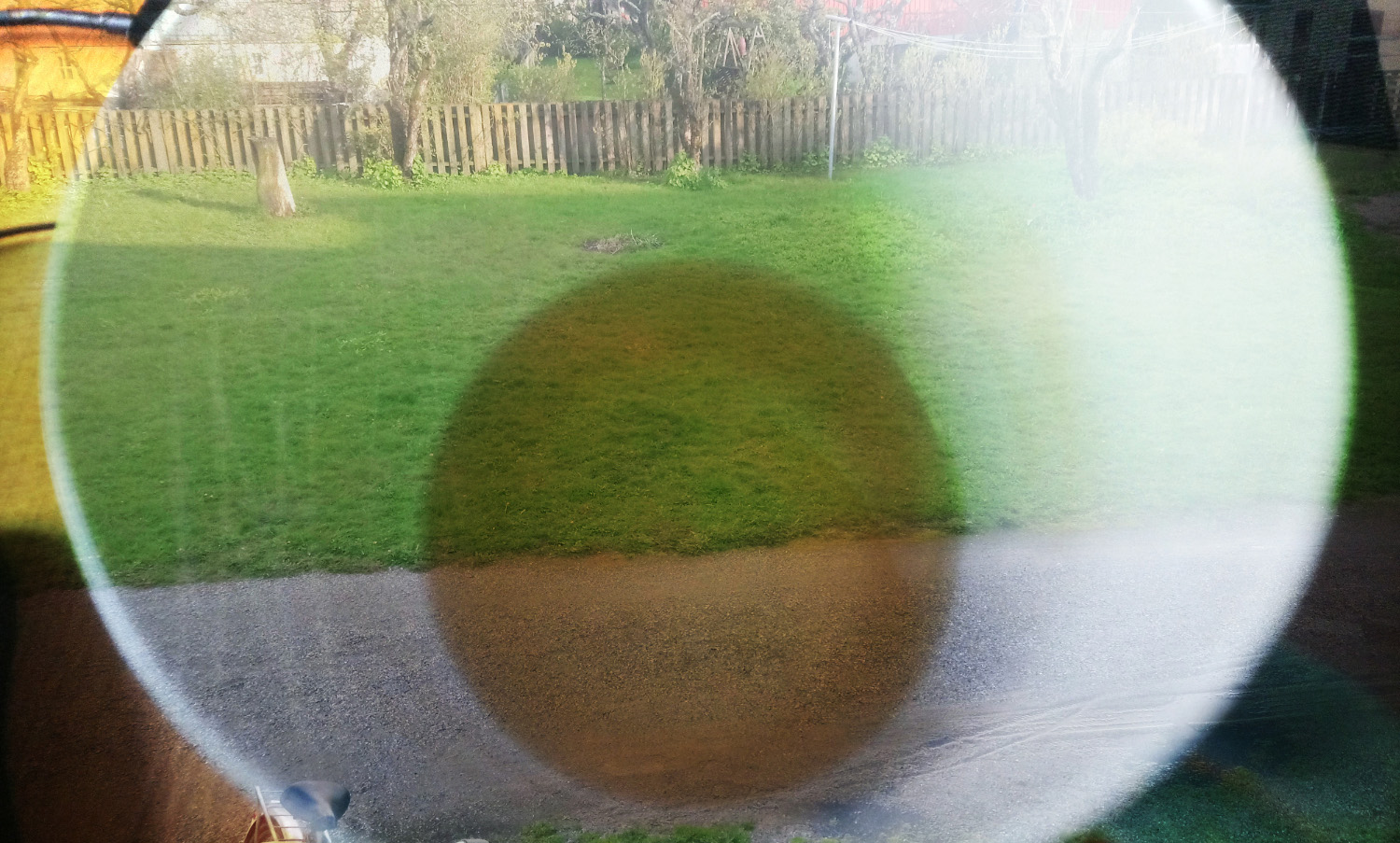 A mug seen from above, image blended
with another one of grass outdoors.
